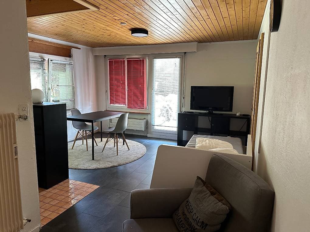 545- Appartement 1 pièce -1000CHF