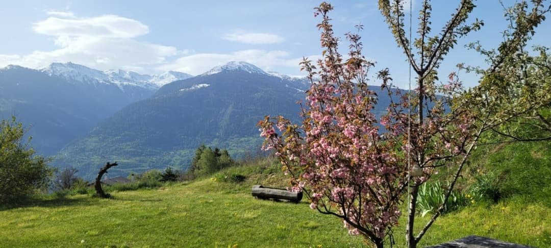 809 – Maison 5.5 pièces – 1490000CHF – 150m²