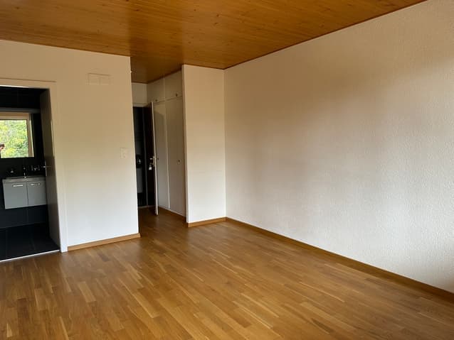 800 -Appartement  -1.5pièces  – 950CHF  -22 m²