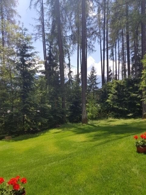 1367 – Appartement – 2pièces – 580000CHF – 50 m²