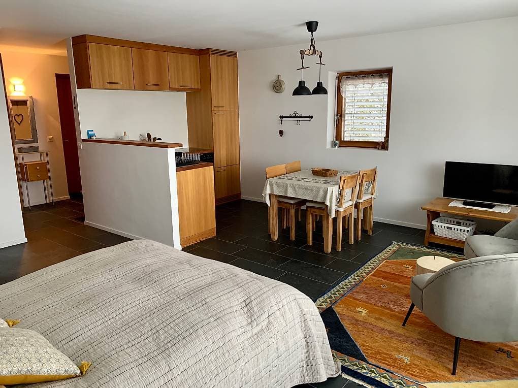 1199 – Appartement – 1.5pièces –  1150CHF – 36 m²