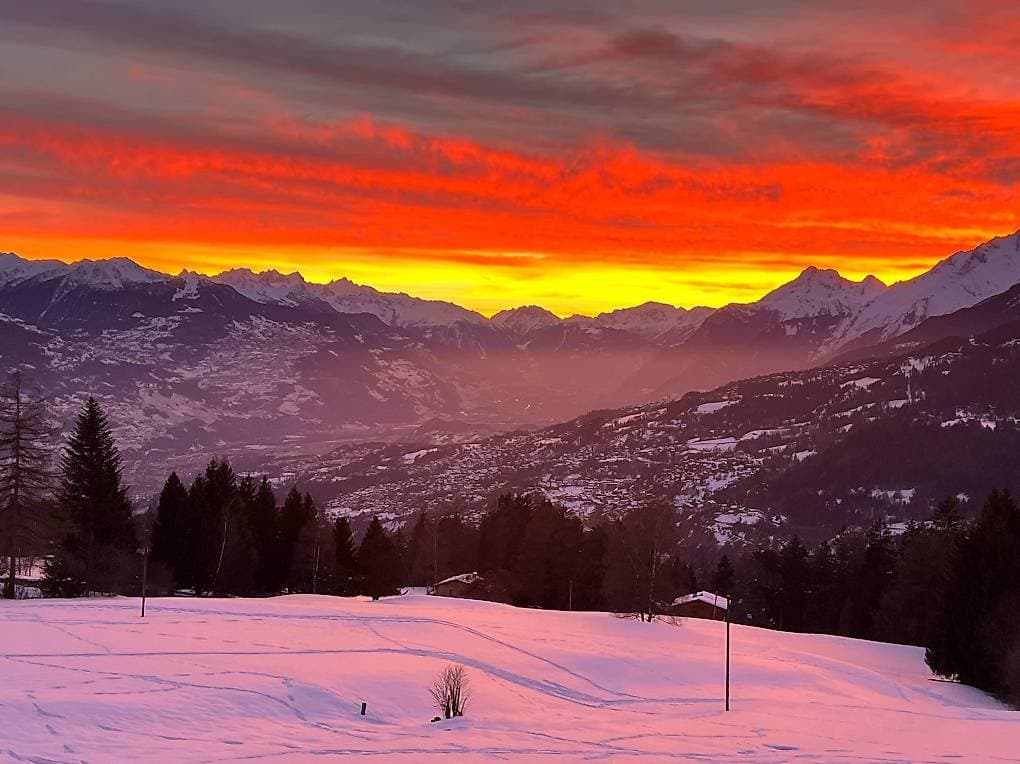 1736 – Appartement – 3.5pièces – 850000CHF – 80 m²