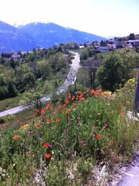 1709 – Terrain  –  230000CHF  – 1841m²