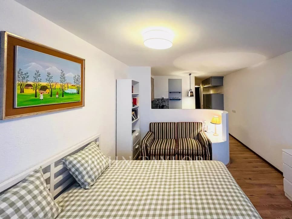 1385 – Appartement – 1.5pièces – 33 m²