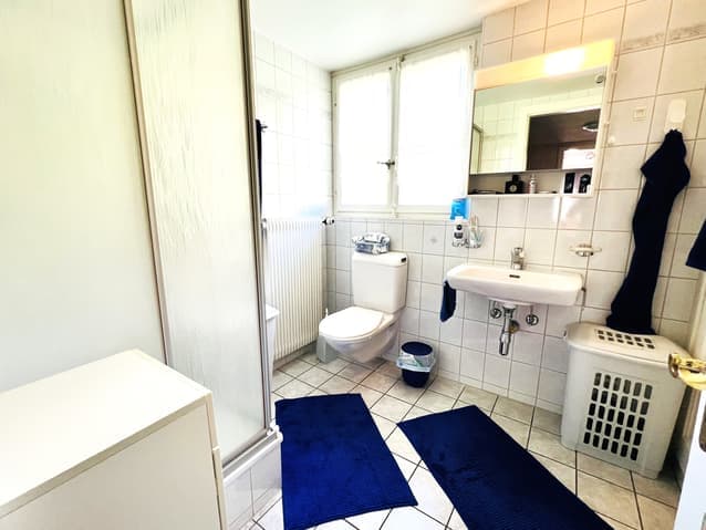 1852 – Maison 13,5 pièces –  1560000CHF – 424m²