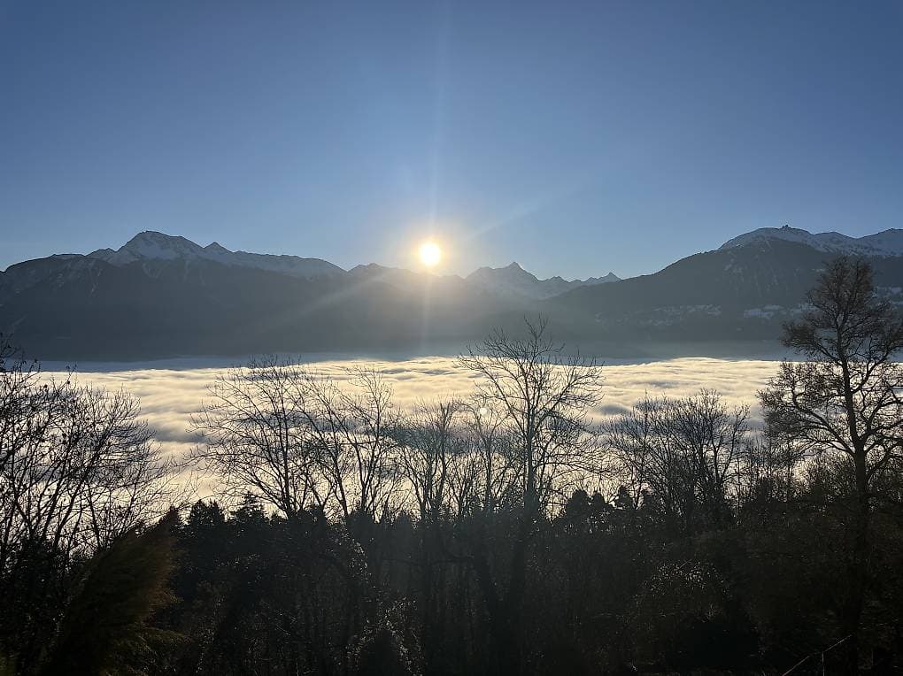 1640 – Appartement – 1pièce – 1500CHF  – 50 m²