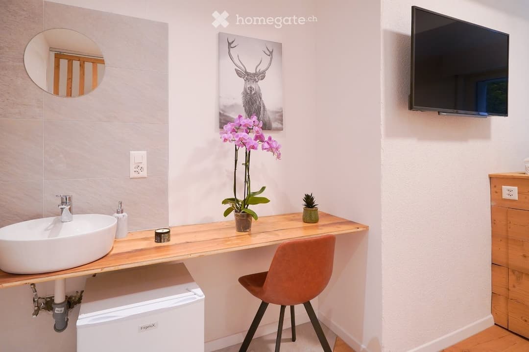 1575 – Appartement 1 pièce –  900CHF