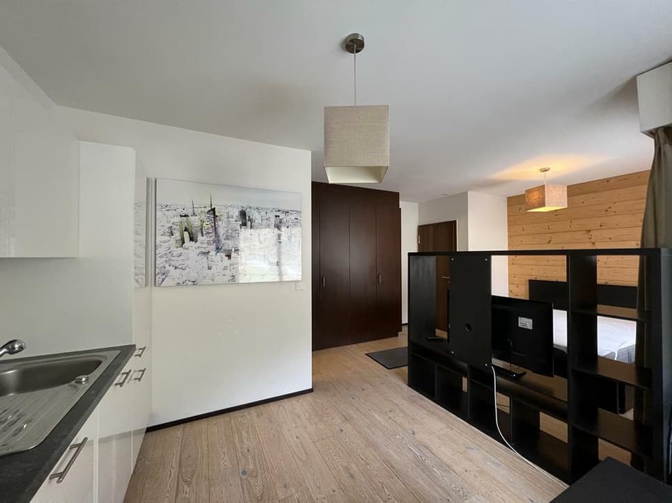 1566 – Appartement – 1pièce – 950CHF  – 30m²