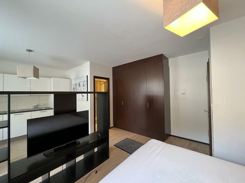 1566 – Appartement – 1pièce – 950CHF  – 30m²