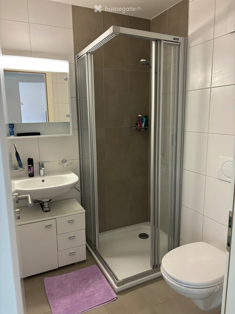 1671 – Appartement 2.5 pièces – 1150  CHF – 56m²