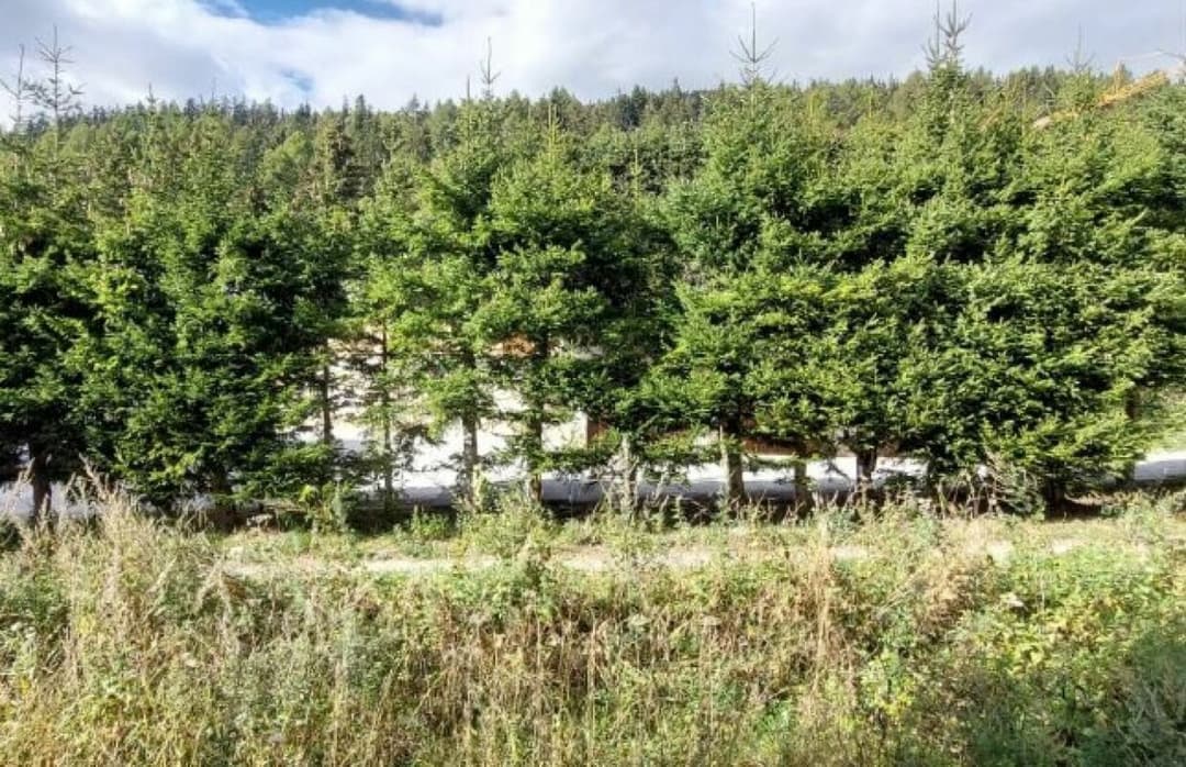 1673 – Appartement 1 pièce -950CHF – 22m²