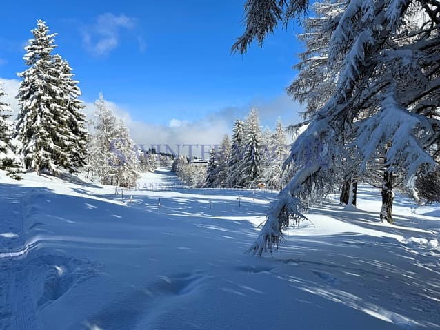 2216 – Appartement 3.5 pièces – 917000CHF – 91m²