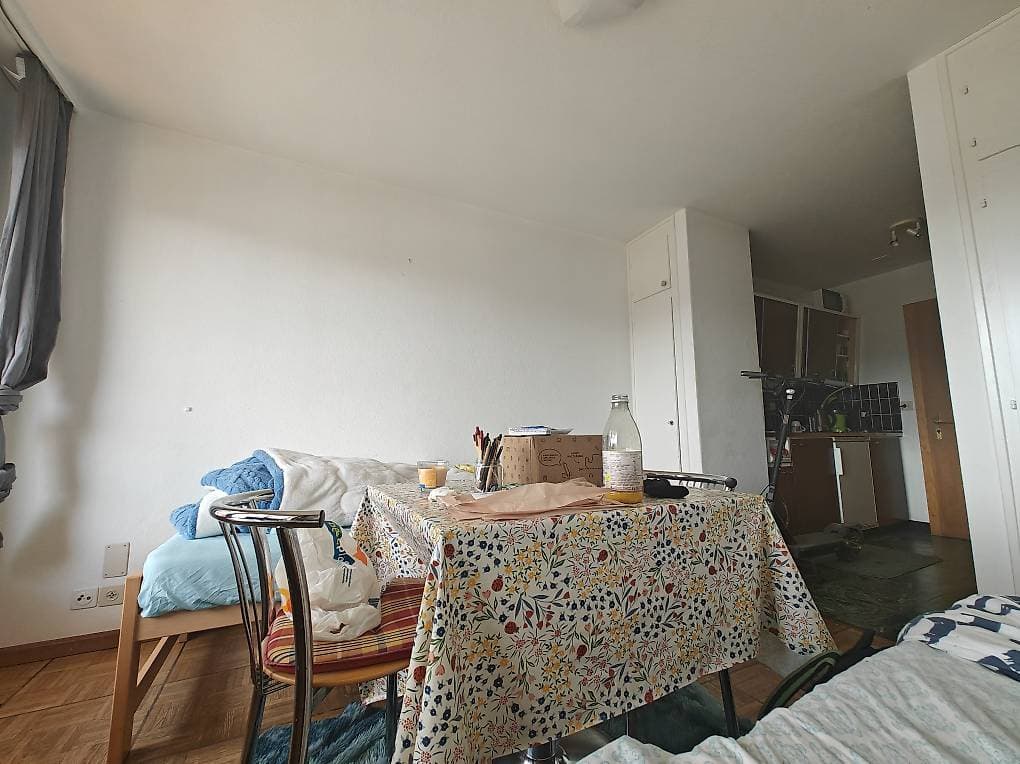 1789 – Appartement – 1 pièce – 650CHF  – 20 m²