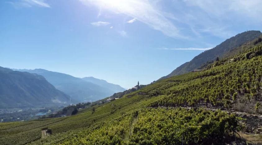 2127 – Appartement 5,5 pièces –  985000CHF – 165m²