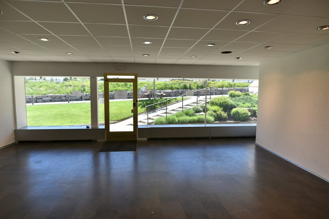 2201 – Commerce – 1250000CHF – 50 m²