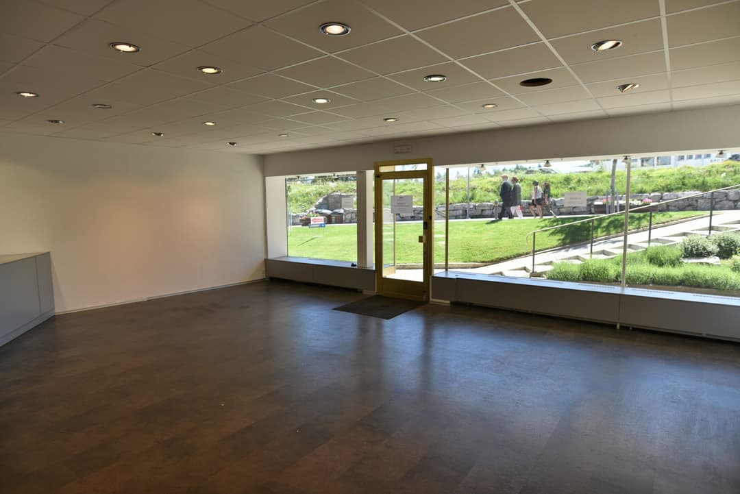 2201 – Commerce – 1250000CHF – 50 m²