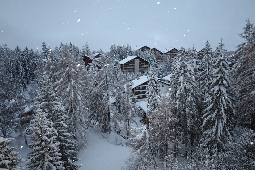 2228 – Appartement – 2.5pièces – 60 m²