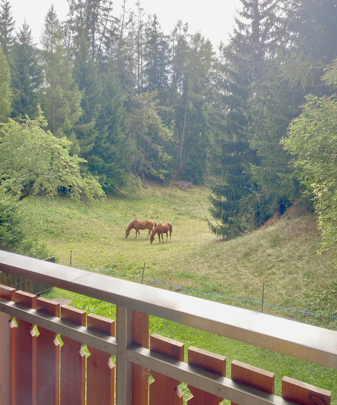 1849 – Appartement – 1.5pièces – 1100CHF – 26m²