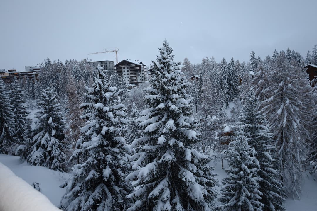 2228 – Appartement – 2.5pièces – 60 m²