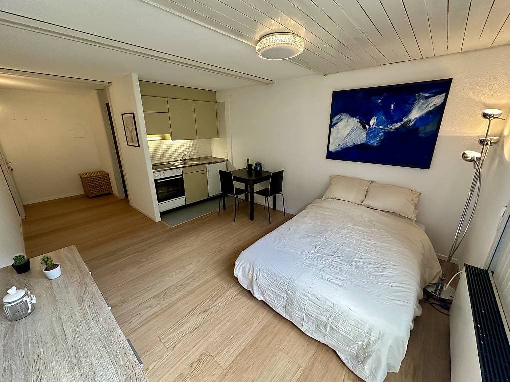 1899 – Appartement – 1pièce – 980CHF