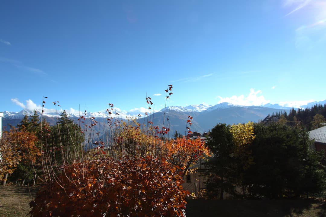 1889 – Appartement – 500CHF  – 25 m²
