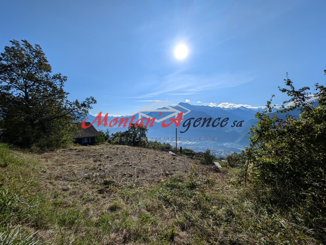 1724 – Terrain – 250000CHF – 1423 m²