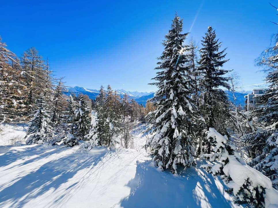 1727 – Appartement – 1.5pièces – 335000CHF – 29 m²