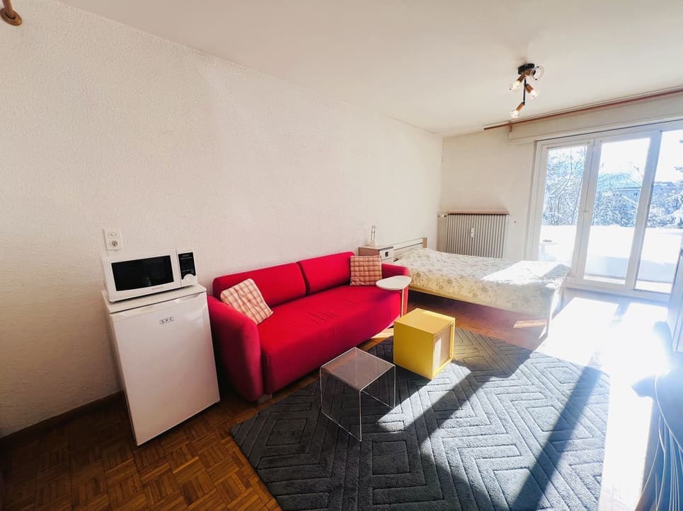 1723 – Appartement – 1.5pièces – 320000CHF – 33 m²