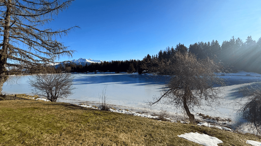 1413 – Appartement – 1pièce