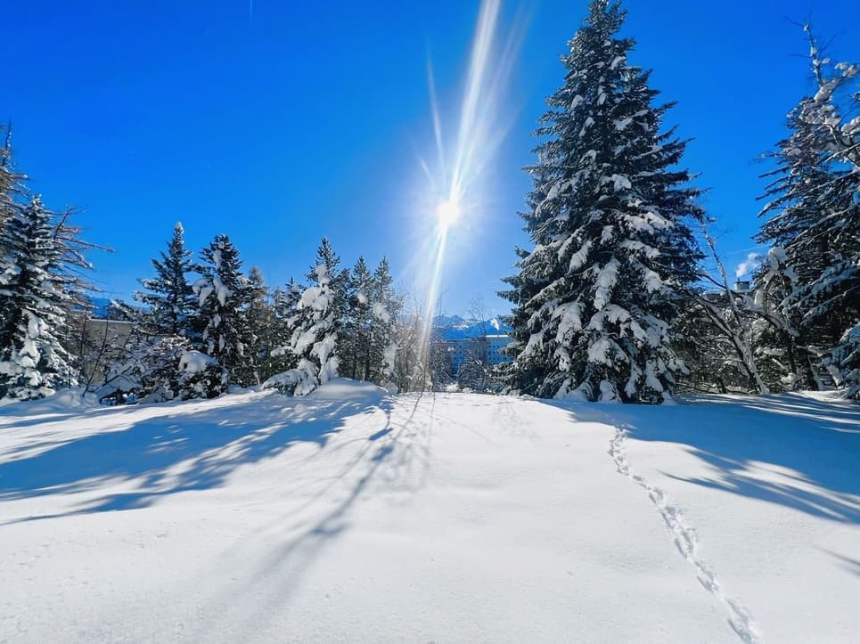 1723 – Appartement – 1.5pièces – 320000CHF – 33 m²