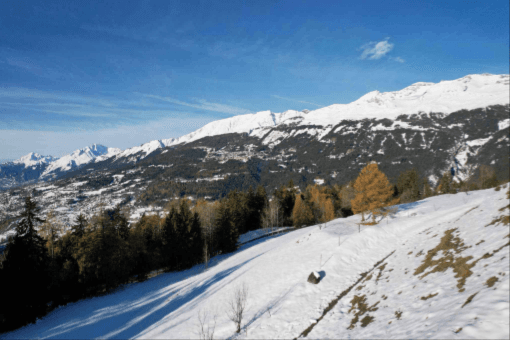 1677 – Maison 14,5 pièces – 13000000 CHF – 1400m²