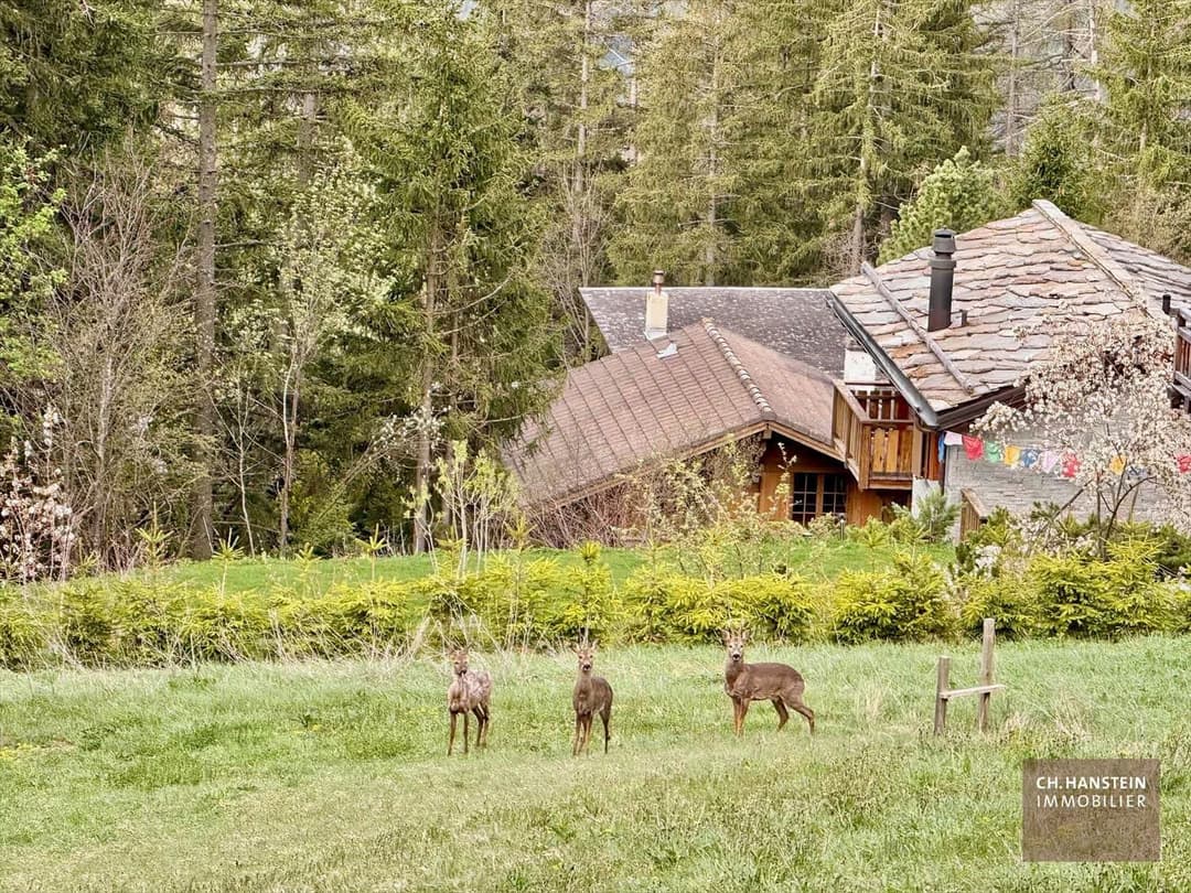 1848 – Terrain – 1456245CHF – 1809 m²