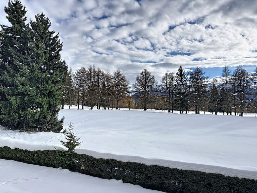 1800 – Appartement 3,5 pièces – 1500000CHF – 110m²