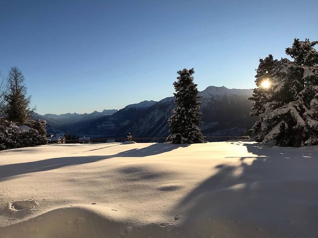 1628 – Appartement – 1.5pièces – 1000CHF – 32 m²