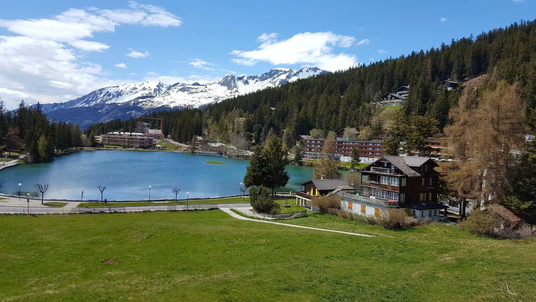 1994 – Terrain – 6000000 CHF – 1133 m²