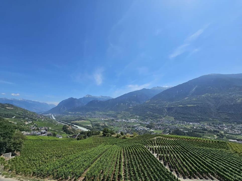 1988 – Appartement – 5.5 pièces – 1040000CHF – 133m²