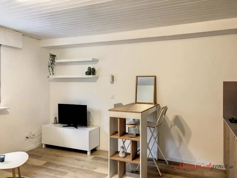 1678 – Appartement 1 pièce – 900 CHF