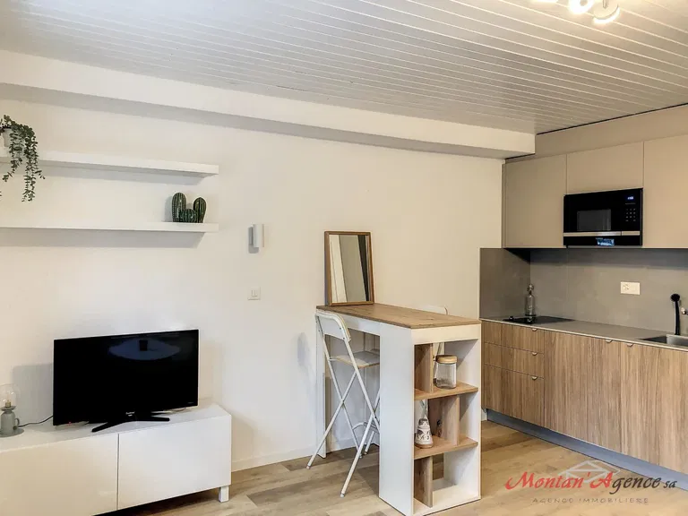 1678 – Appartement 1 pièce – 900 CHF