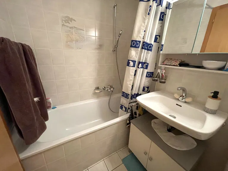 1729 – Appartement 2.5 pièces – 1700 CHF – 45 m²