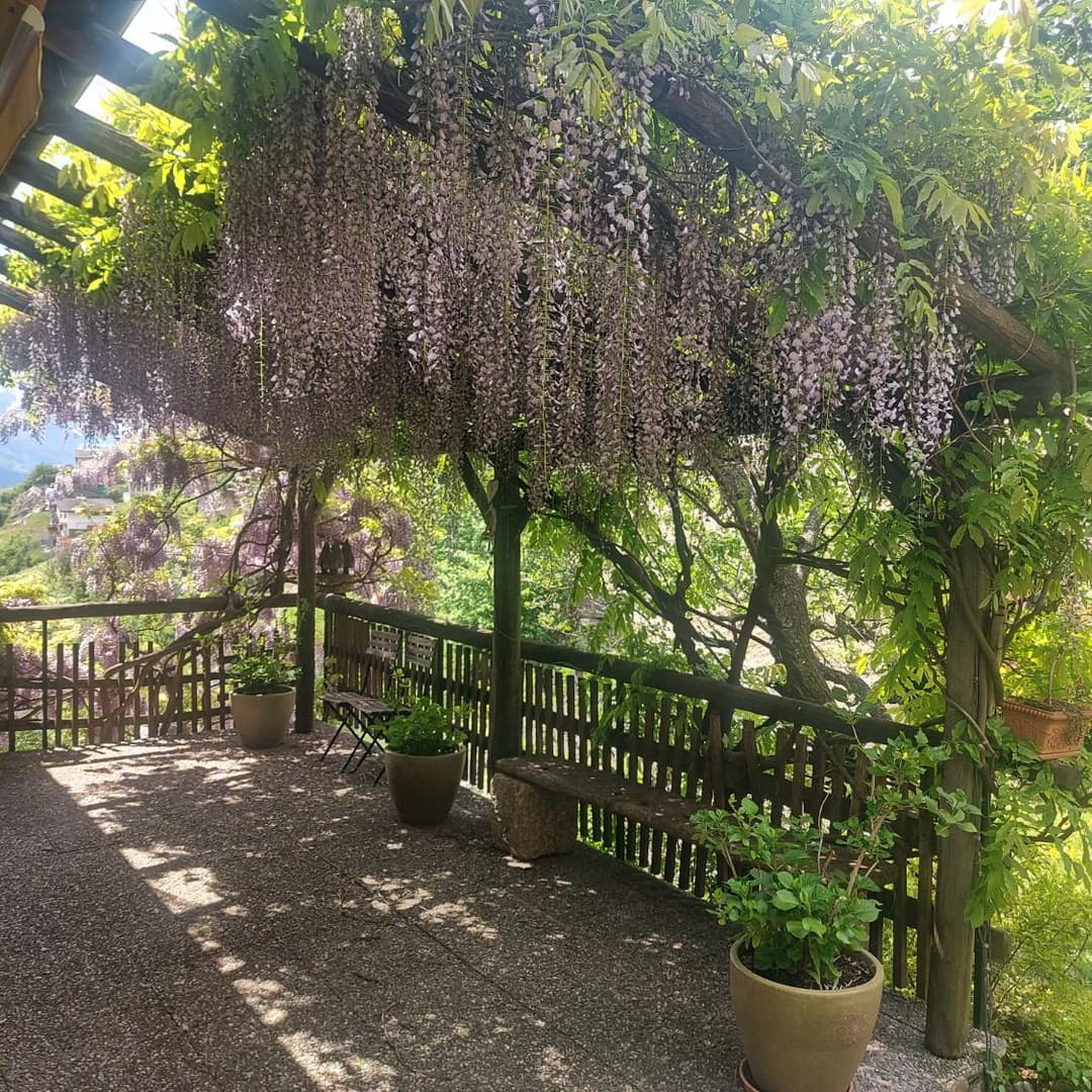 2083 – Maison 5,5 pièces – 895000CHF – 165m²